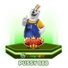 PUSSY 888